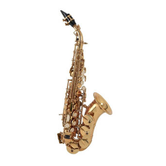 Saksofon sopranowy Bb ROY BENSON SG-302