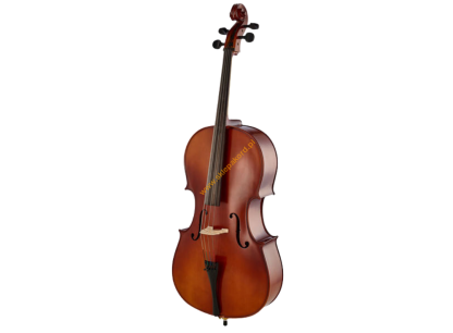 Instrumenty smyczkowe