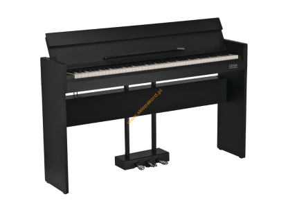 Pianina cyfrowe