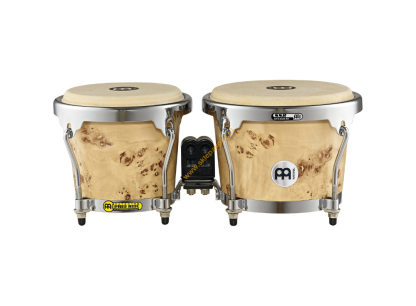 Bongo