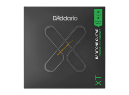 12-strunowe