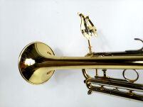 Lirka do trąbki RMB 310-14 na rurkę obejma - 2