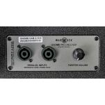 Wzmacniacz basowy Warwick Gnome Pro CAB 2x10/8 - 9