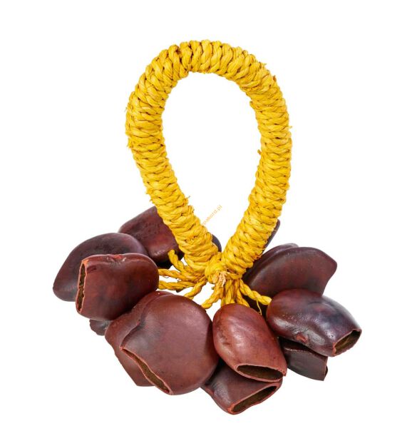 Grzechotka Juju AFROTON AJR824