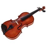 Skrzypce zestaw Hidersine Vivente Violin Set 4/4 - 6