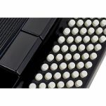 Akordeon Startone Piano Accordion 96 Black MKII - 9