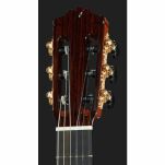Gitara klasyczna 7/8 Cordoba C9 Parlor - 9