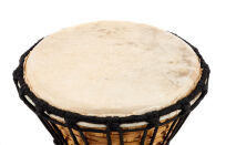 Djembe Terre Eco Series 30cm 9