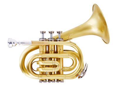 Trąbka kieszonkowa MTP Bb mod. T-210 PT Banana - brushed