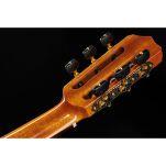 Gitara akustyczna z Pickupem Cordoba Stage Guitar Natural Amber w/B - 13