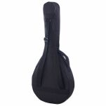 Mandola Thomann Artist Mandola WLN - 3