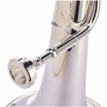 Sakshorn Barytonowy Thomann BR-802GP - 6