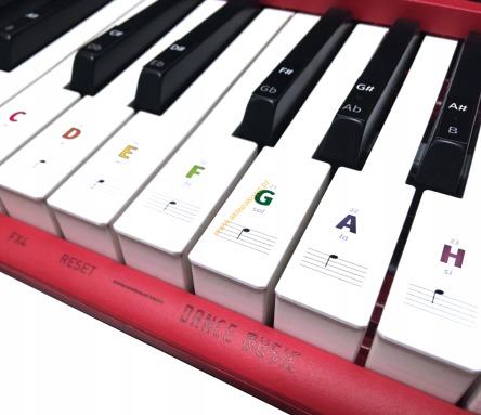 Naklejki na keyboard na klawisze AKORD NKHKL kolorowe