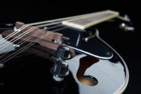 Mandolina elektryczna Harley Benton HBMA-50E Mandoline BK - 2