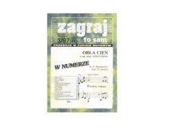 Książka Zagraj to sam miesiecznik (041) nr 03/1997