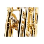 Sakshorn Barytonowy Thomann BR 604 - 7