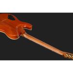 Gitara elektryczna Harley Benton Fusion-T II HH RW HT PM - 11