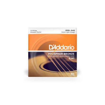 Struny do gitary dwunastostrunowej  D'Addario EJ41 9-45