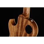 Gitara elektryczna Stanford CR Fleetwood Amber Burst - 2