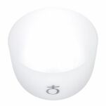 Misa Thomann Crystal Planet Bowl Earth - 2