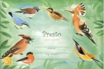 Zeszyt Nutowy PRESTO - 2