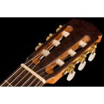 Gitara klasyczna Hanika 50 TEF 4/4 - 5
