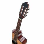 Gitara Thomann Tres Cubano Standard CCW - 4