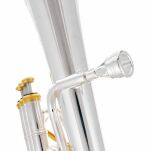 Sakshorn Altowy Thomann AH-704GP - 5