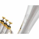 Sakshorn Altowy Thomann AH-704GP - 6