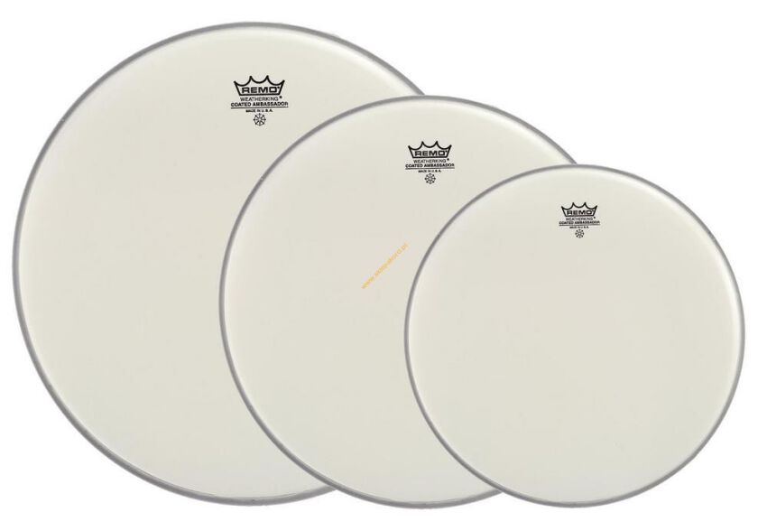 Naciąg 10'', 12'', 14''  Ambassador PP-0942-BA