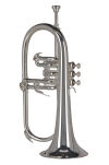 Flugelhorn GEWA FH501S - 2