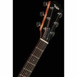 Gitara akustyczna typu Western z przetwornikiem Taylor 214ce - 5