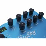Efekt gitarowy do gitary elektrycznej Strymon Big Sky - 9