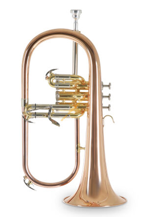 Flugelhorn Bb ROY BENSON FH-302G