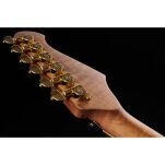 Gitara elektryczna Harley Benton Guitar MAX Fusion Signature EF - 12