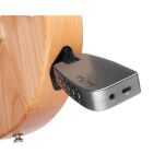 Wzmacniacz Harley Benton DNAfx GIT mobile II - 12