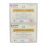 Buława BPD2 dla tamburmajorek i mażoretek SENIOR + Pokrowiec - 13