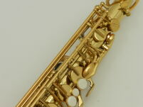 Saksofon altowy Trevor James Revolution DR22-028 - 5