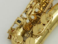 Saksofon altowy Trevor James Revolution DR22-028 - 8