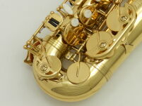 Saksofon altowy Trevor James Revolution DR22-028 - 9