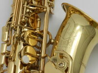 Saksofon altowy Trevor James Revolution DR22-028 - 11