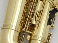 Saksofon altowy Trevor James Revolution DR22-028 - 21