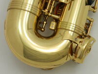 Saksofon altowy Trevor James Revolution DR22-028 - 22