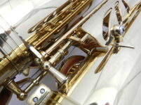 Saksofon altowy Trevor James Revolution DR22-028 - 24