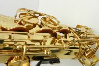 Saksofon altowy Trevor James Revolution DR22-028 - 25